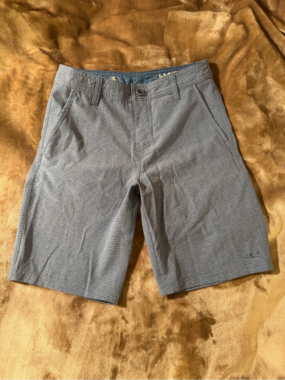 Men's Micro-Stripe Gray Flat Front Shorts